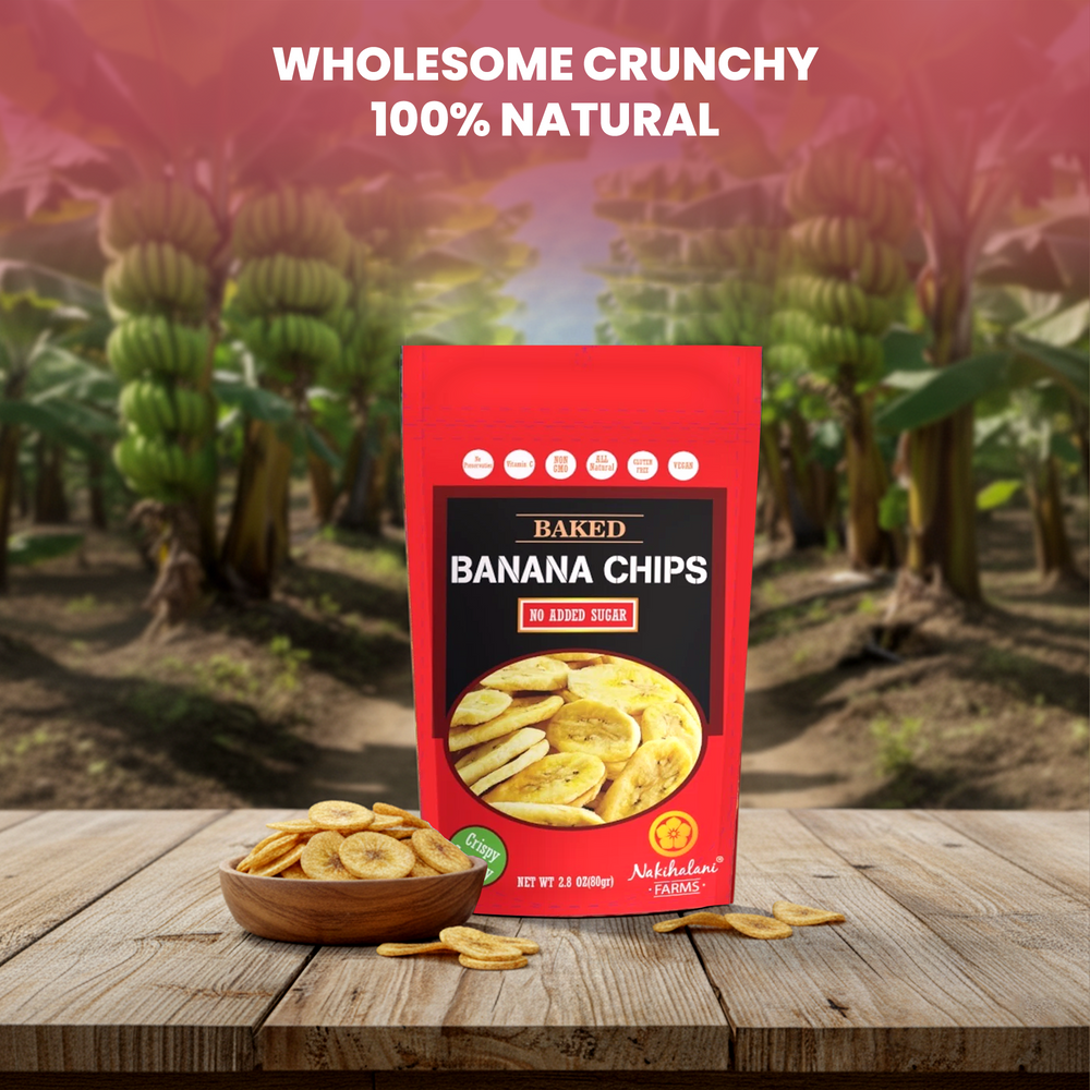 Baked Banana Chips 2.8oz