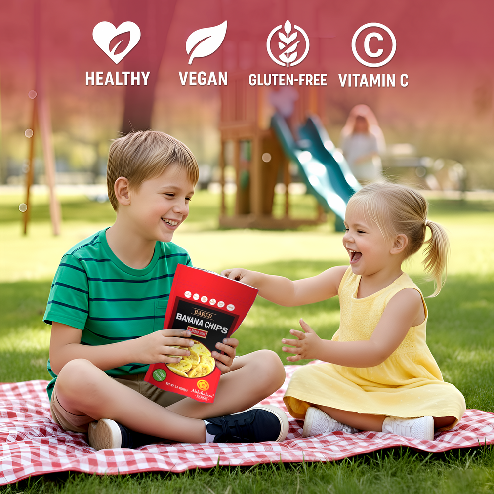 Baked Banana Chips 2.8oz