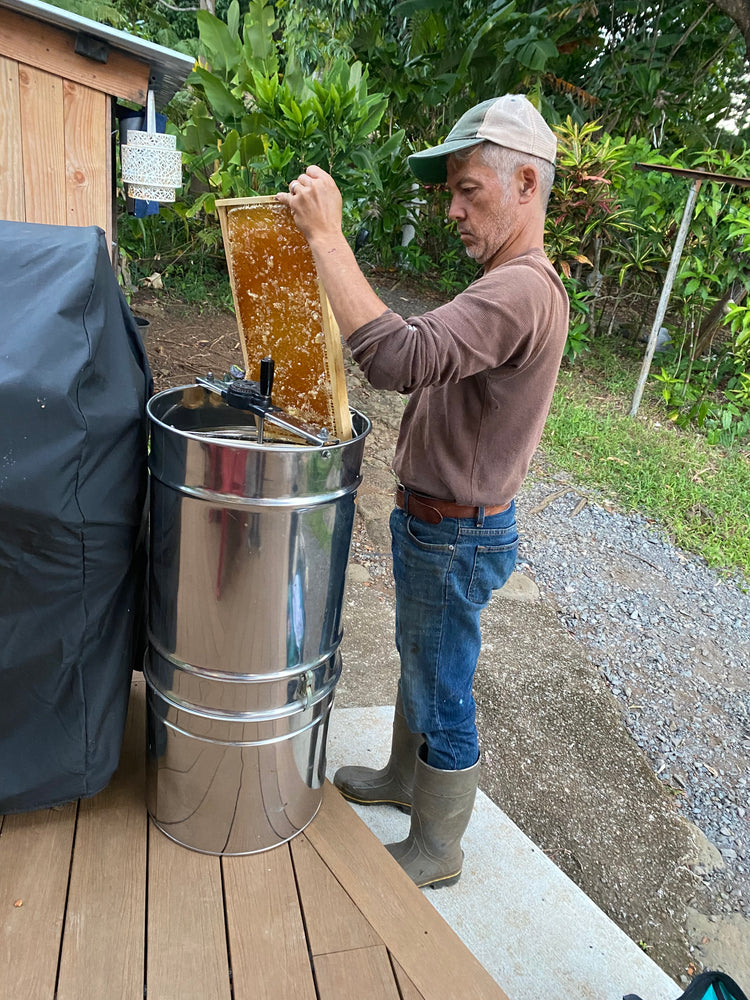 
            
                Load image into Gallery viewer, Pure Hawaiian Honey
            
        