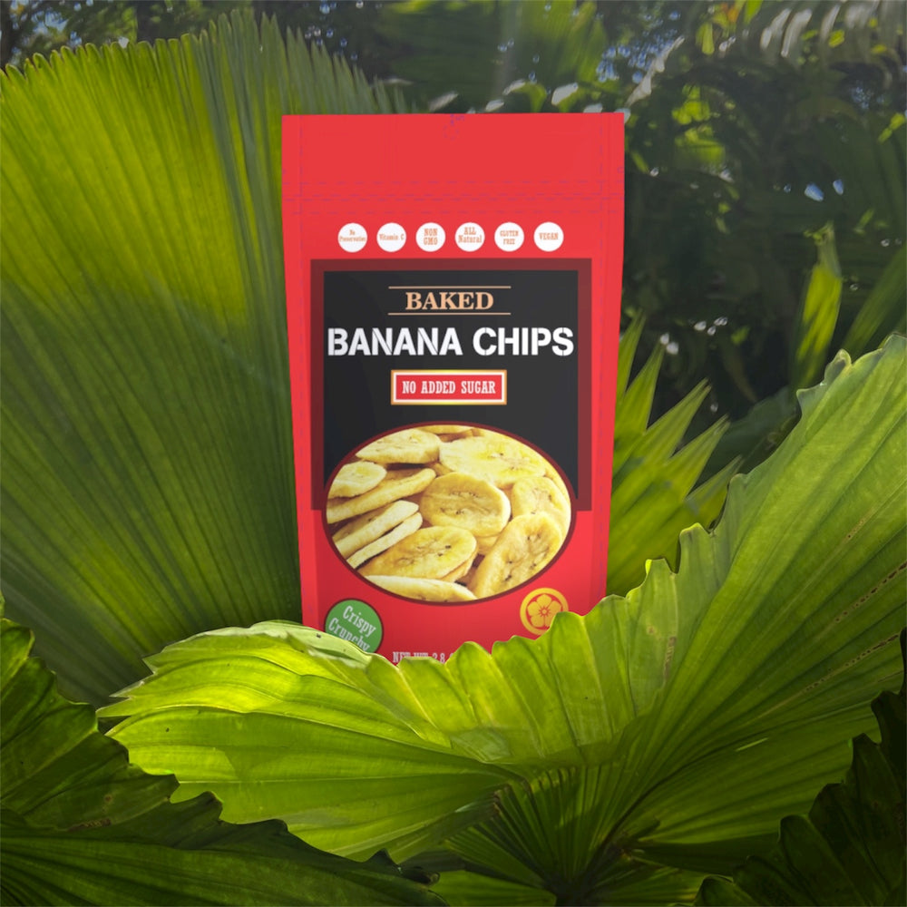 Baked Banana Chips 2.8oz